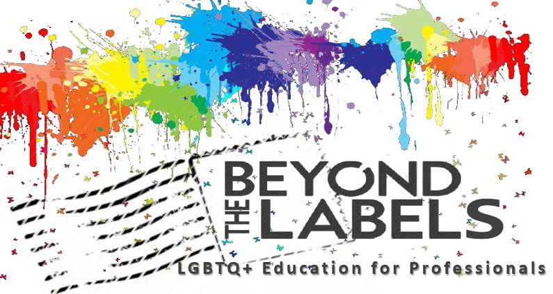 Beyond the Labels Training